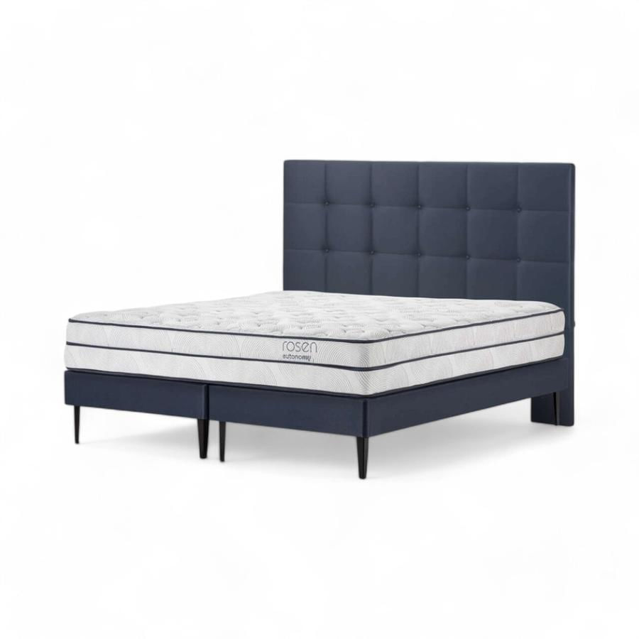 Cama Rosen Autonomy Sky King + Respaldo Issey Azul