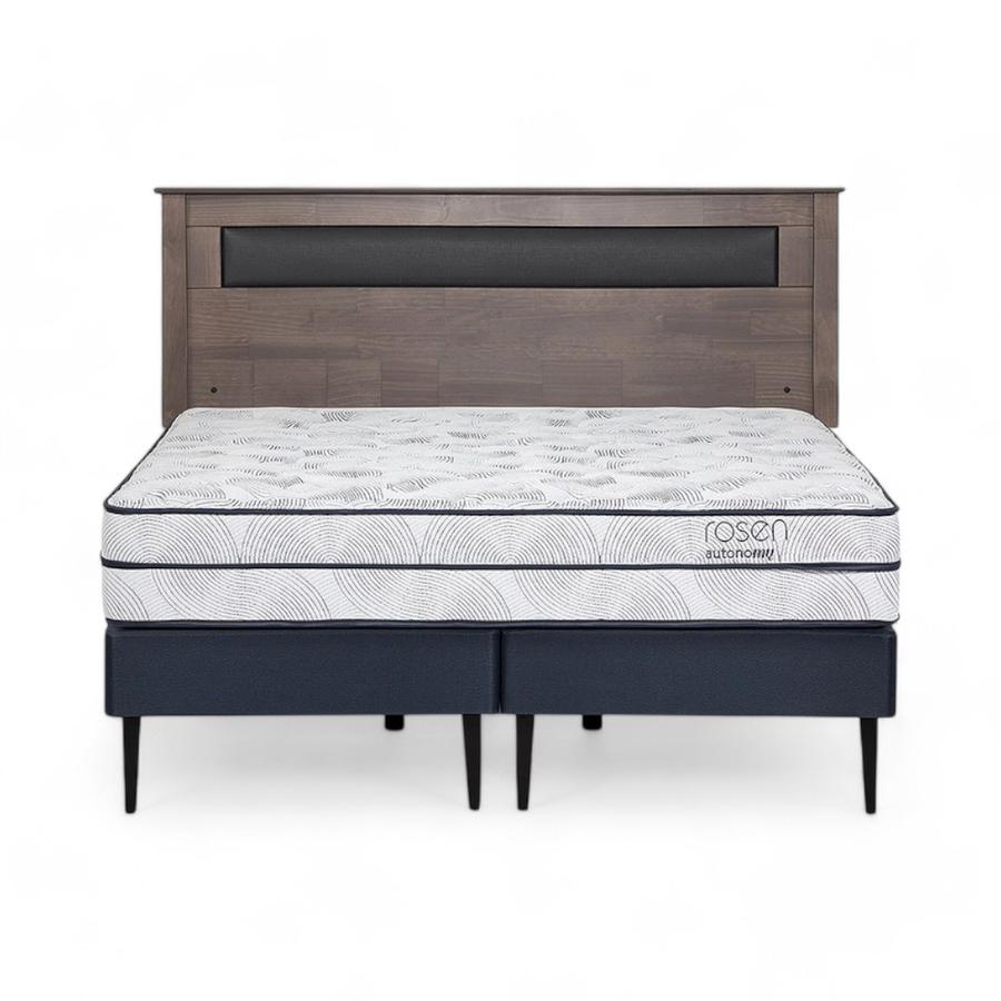 Cama Rosen Autonomy Sky King Acero + Respaldo Ferrara
