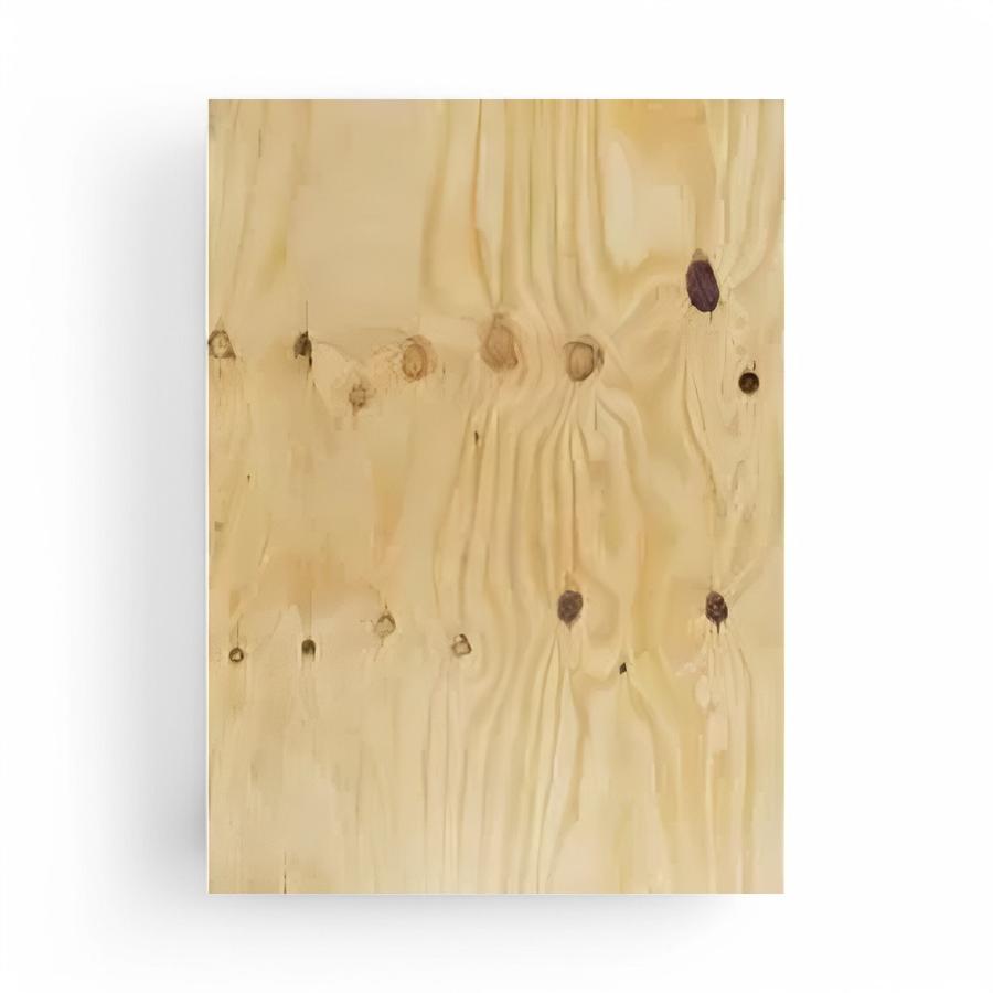 Terciado Estructural 1220x2440x12 Mm