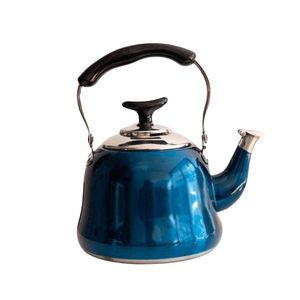 Tetera Acero Inoxidable 1lt Con Filtro Azul