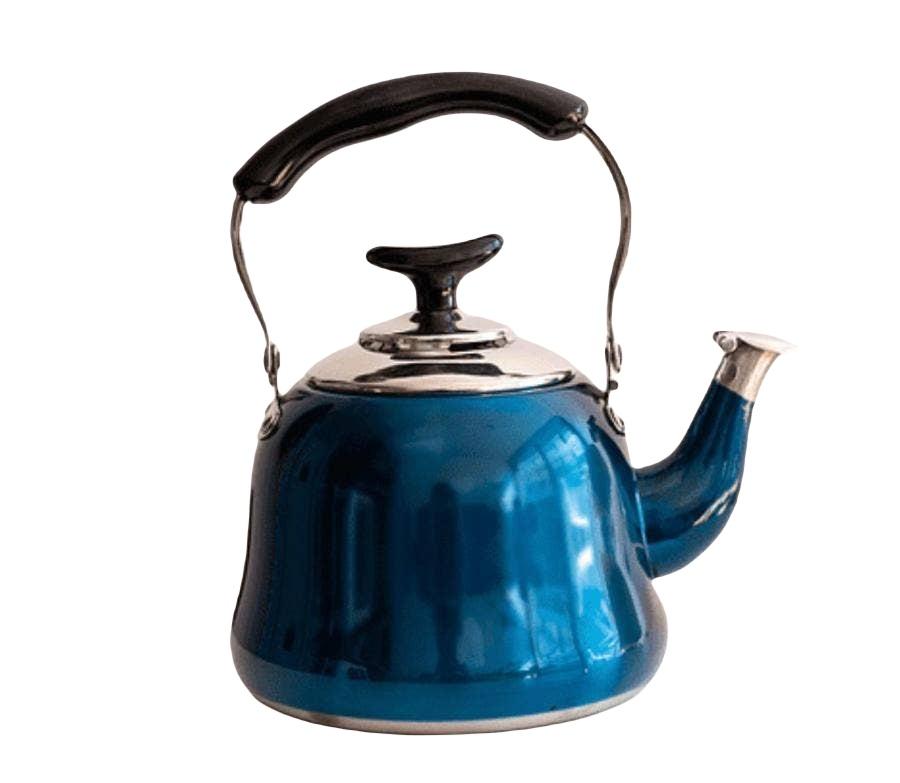 Tetera Acero Inoxidable 1lt Con Filtro Azul