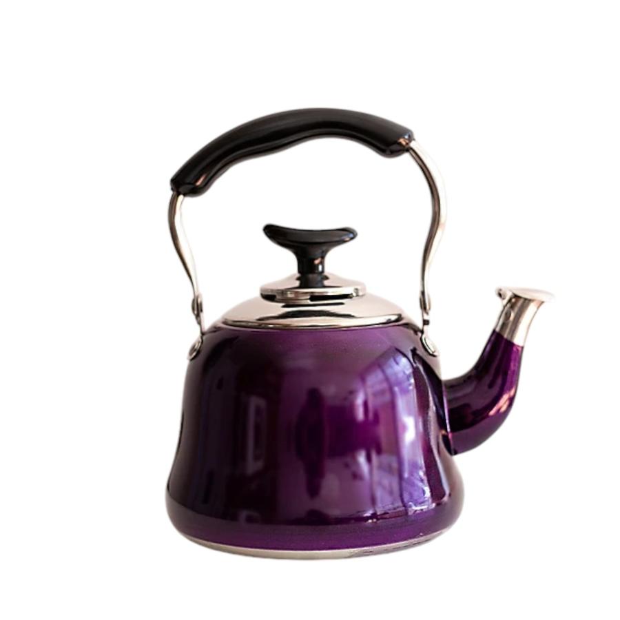 Tetera Acero Inoxidable 1 Litro Mariana Willen Morado