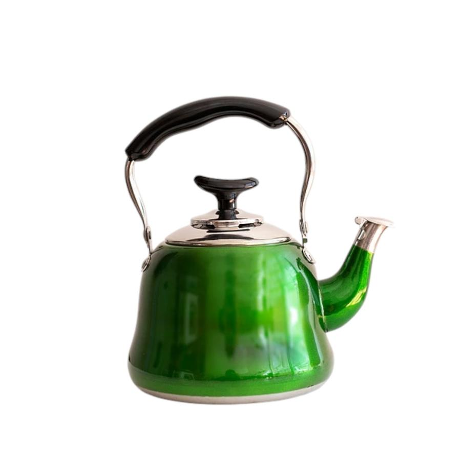 Tetera Acero Inoxidable 1 Litro Mariana Willen Verde