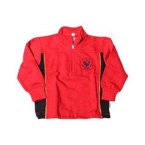 Polerón HZ Unisex Colegio Alemán PV