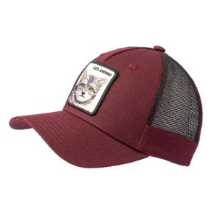 Jockey Gato Andino Ripstop Wild Lama Burdeo