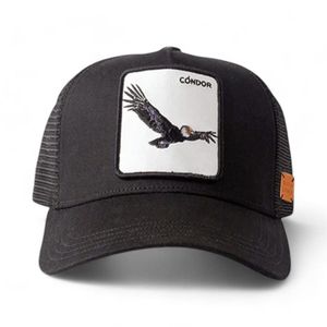 Jockey Unisex Wild Lama Cóndor Con Causa Negro