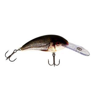 Señuelo Shad Dancer 7 cm Live Roach