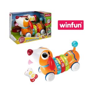 Juguete Cachorro Arcoíris Radio Control Infantil Winfun