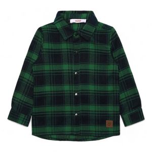 Camisa Niño Osito Con Broches Verde