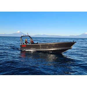 Bote Hdpe Endurance 7.1 Mts Sin Tubos