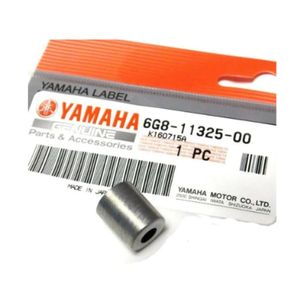 Ánodo Block Nuevo 50 Hp 6g8-11325-00