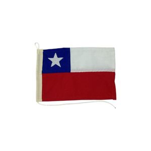 Bandera chilena 20X30