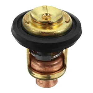 Termostato 66m-12411-00