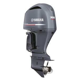 MOTOR F/B 300HP F300DETX