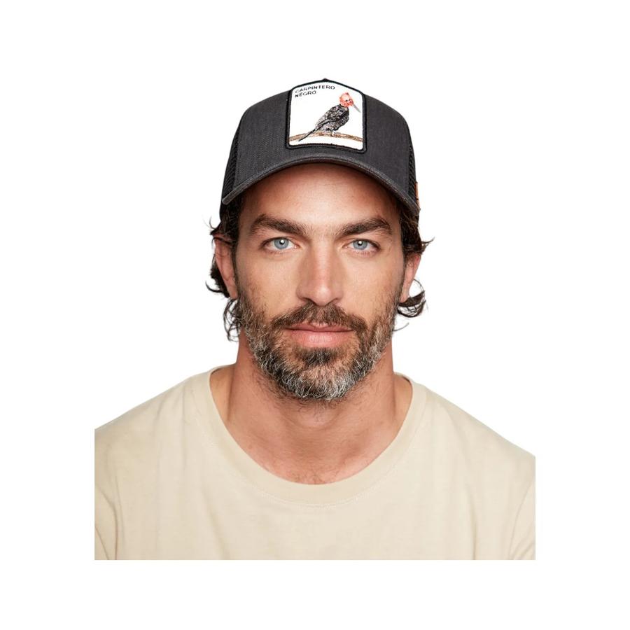 Jockey Wild Lama Carpintero Orgánico Negro Lavado