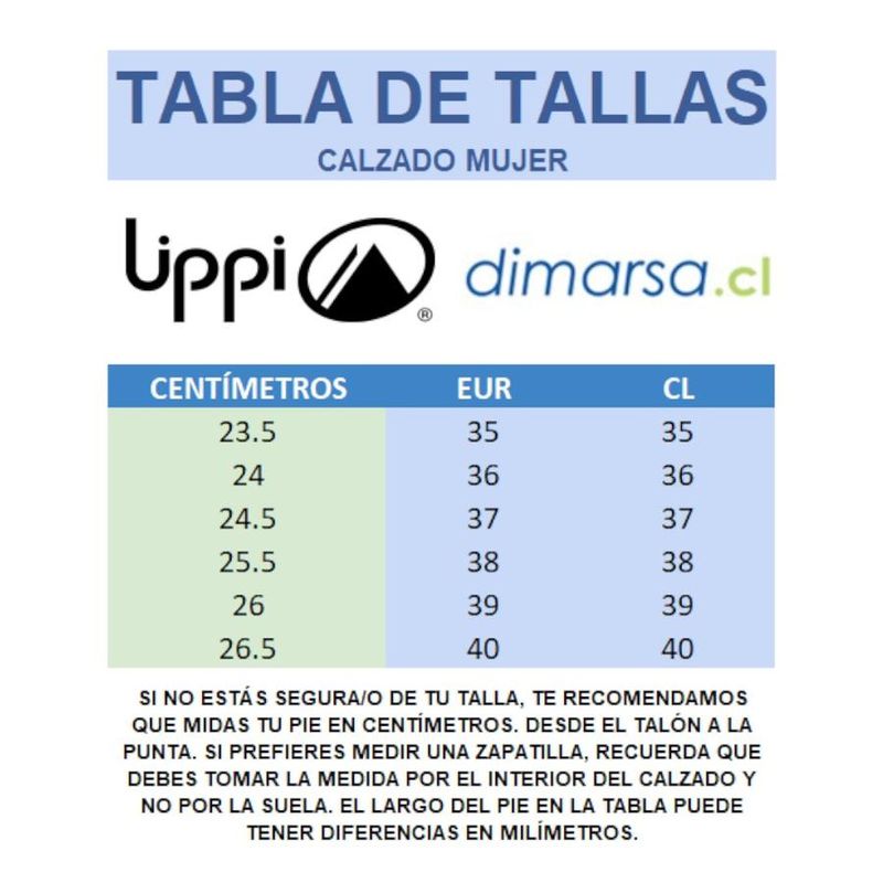 Vista 6