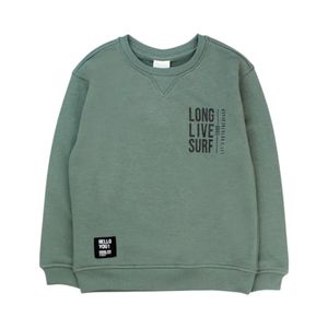 Polerón Niño Ficcus Day To Day 2610728 Verde Oscuro