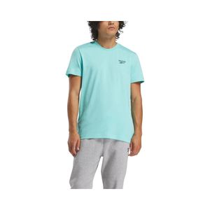 Polera Hombre Small Logo Tee Reebok 100216174 Calipso