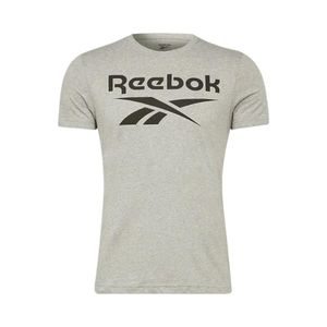 Polera manga corta Hombre Reebok Identify stacked logo Gris