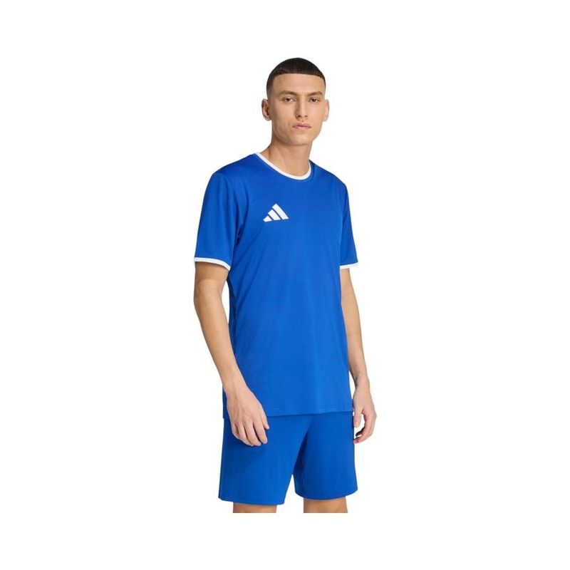 Principal