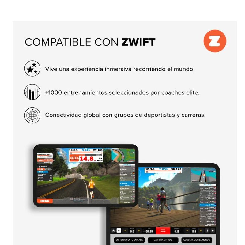 Vista 6
