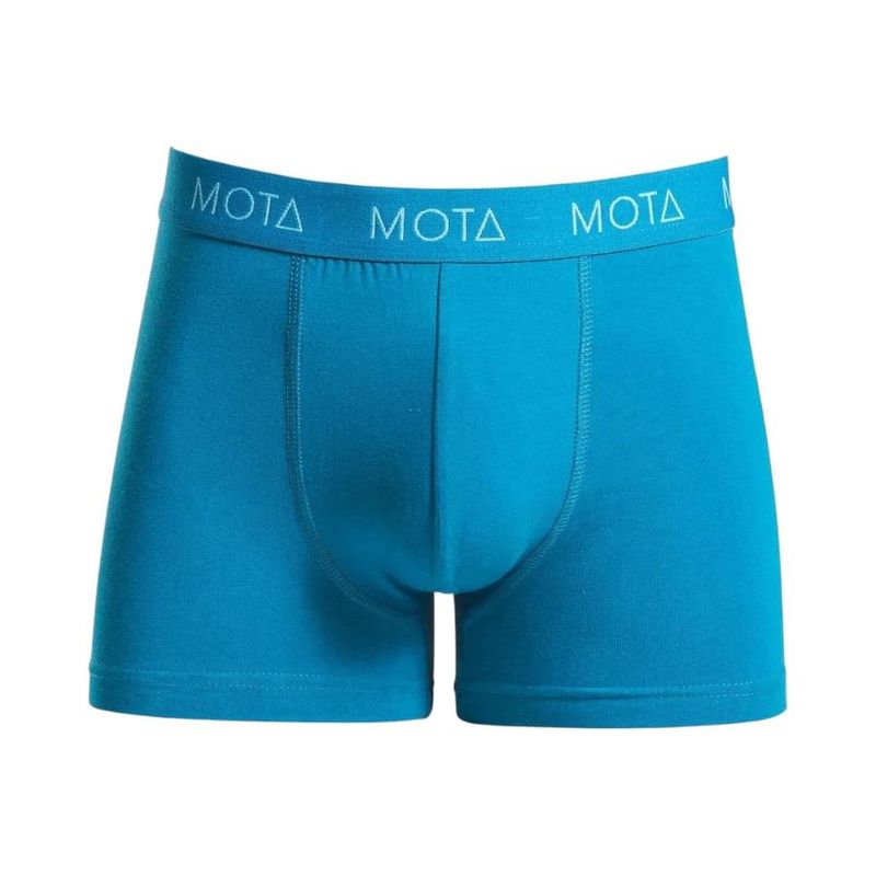 Vista 4