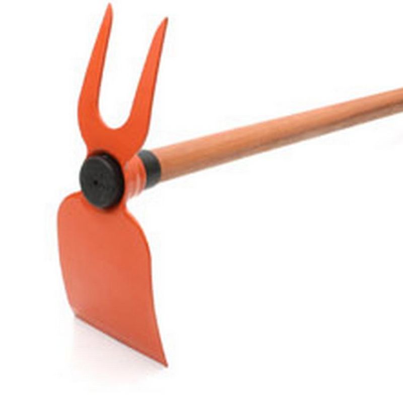 Principal