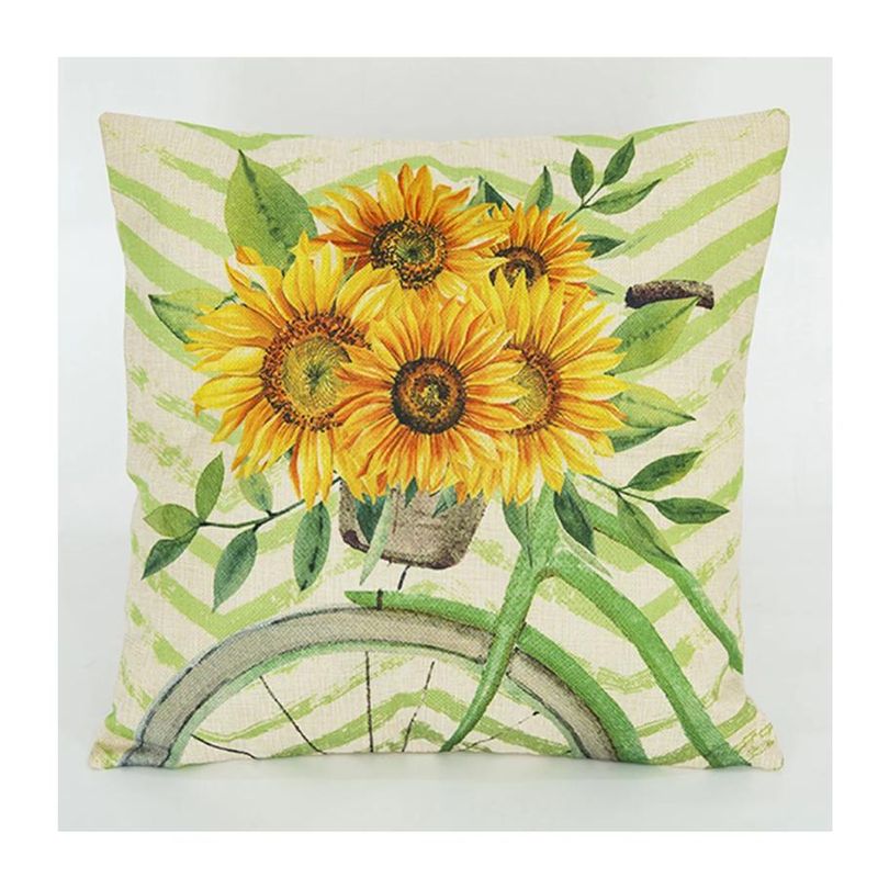 Vista 6