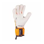 Vista 5