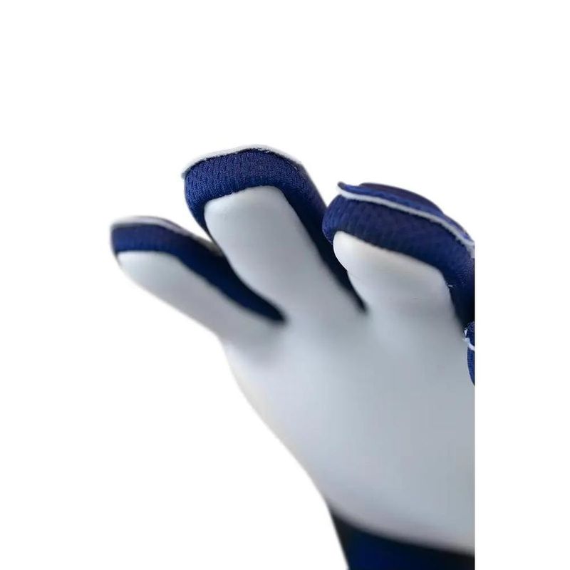 Vista 4